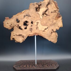 Loupe de chêne live edge sur piètement – Image 2