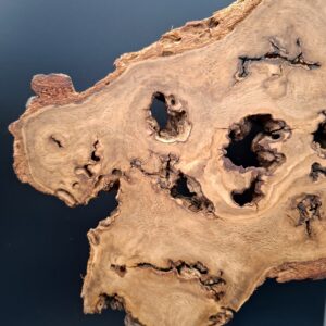 Loupe de chêne live edge sur piètement – Image 3
