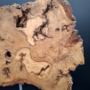 Loupe de chêne live edge sur piètement – Image 4