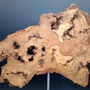 Loupe de chêne live edge sur piètement – Image 5