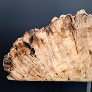 Loupe de platane vermoulue live edge sur piètement – Image 3