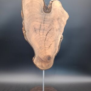 Racine de noyer live edge sur piètement – Image 2