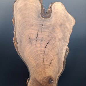 Racine de noyer live edge sur piètement – Image 5